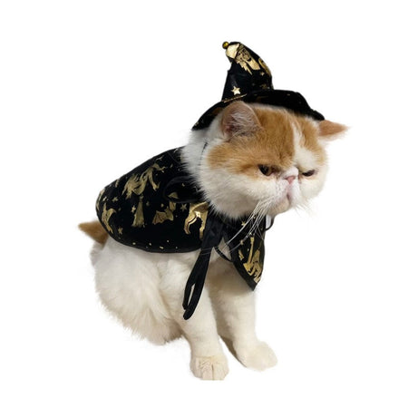New Halloween Witch Cloak, Cat Wizard Cloak, Pet Cloak, Festival Dress Up, Transformation Dress Up