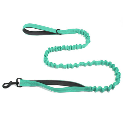 Dog Leads Leashes Durable Dual Traction Rope for Dogs Leash - Boost Safety and Control