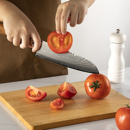 67-LAY Damascus Kitchen chef knife Set,Japanese Santoku Nakiri Knife Utility Knife Boning Knife,Cooking knife Olive wood HD