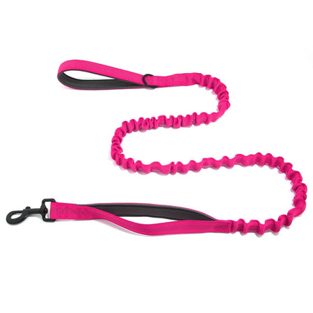 Dog Leads Leashes Durable Dual Traction Rope for Dogs Leash - Boost Safety and Control