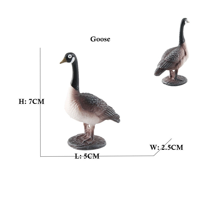 Owl Flamingo Turkey Toucan Seahawk Model Animal Figurines Plastic Bird Toy Action Figure Jungle Adventures Kids Gifts Forest zoo