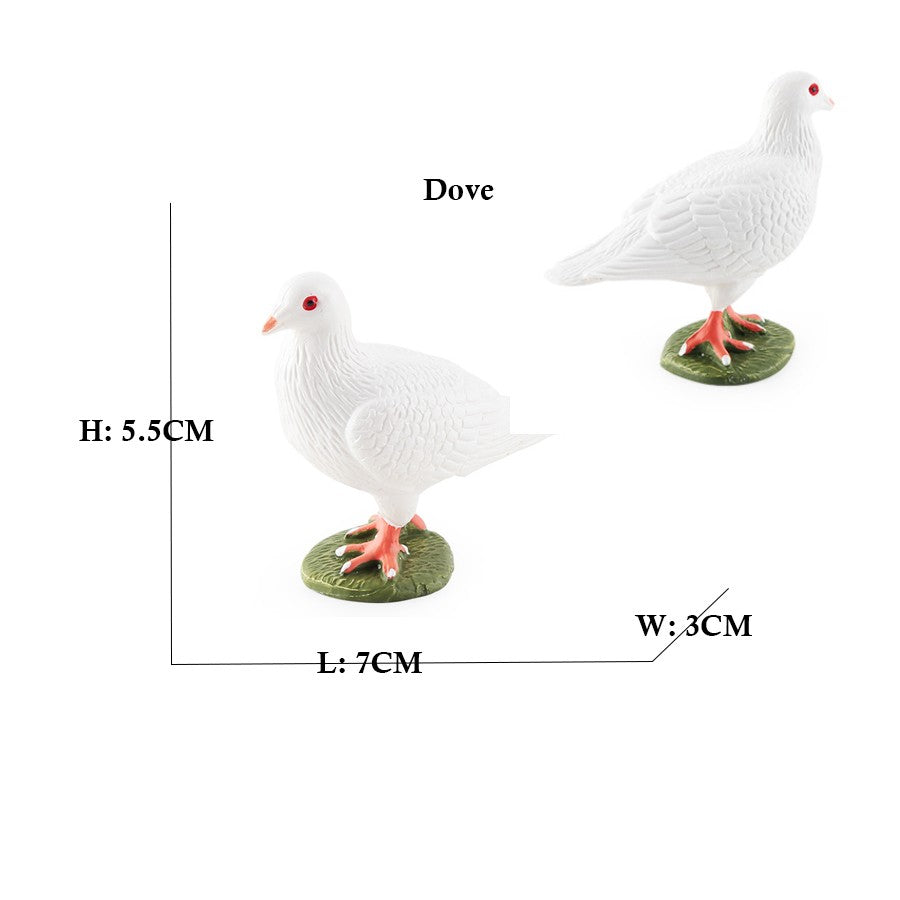 Owl Flamingo Turkey Toucan Seahawk Model Animal Figurines Plastic Bird Toy Action Figure Jungle Adventures Kids Gifts Forest zoo