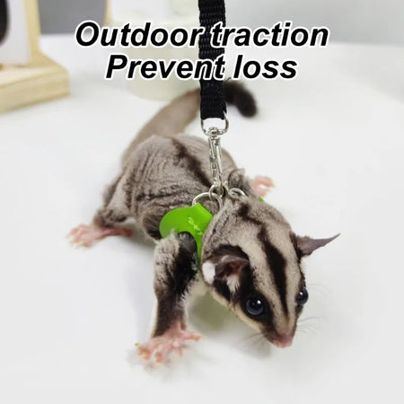 4 Pcs /set Sugar Quoll Harness + Leash Set Escape-Proof Adjustable Collar for Pet Small Animals Hamsters Sugar Gliders Squirrels