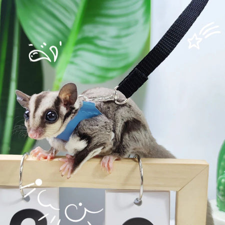 4 Pcs /set Sugar Quoll Harness + Leash Set Escape-Proof Adjustable Collar for Pet Small Animals Hamsters Sugar Gliders Squirrels