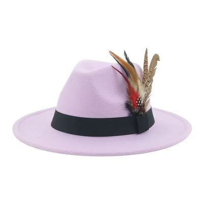 Hat Fedoras Winter Women Hats Men Felt Hat Feather Luxury Fashion Casual Wedding Decorate Men Women Fedora Chapeau Femme Bonnet
