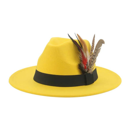 Hat Fedoras Winter Women Hats Men Felt Hat Feather Luxury Fashion Casual Wedding Decorate Men Women Fedora Chapeau Femme Bonnet