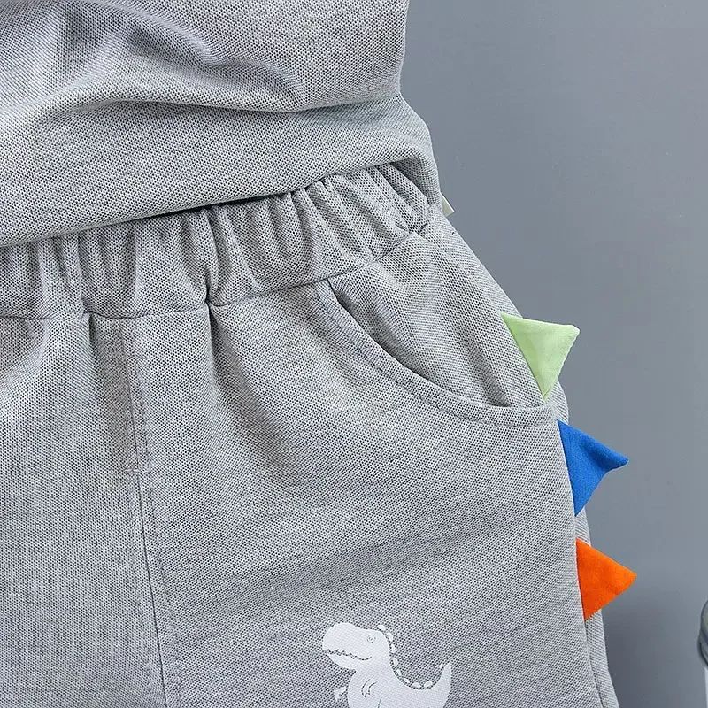 Summer Kids Outfits Baby Boys Clothes Set Dinosaur Printed Turn-down Collar T-Shirts Tops+ Shorts 2PCS/Suit Infant Clothing Sets