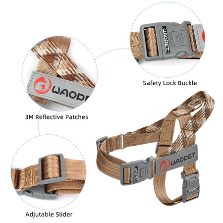 Pet Fashion Dog Harnesses For Medium And Large Walking Dogs Portable New Design Safety Chest Harness Colorful Collar Accessories