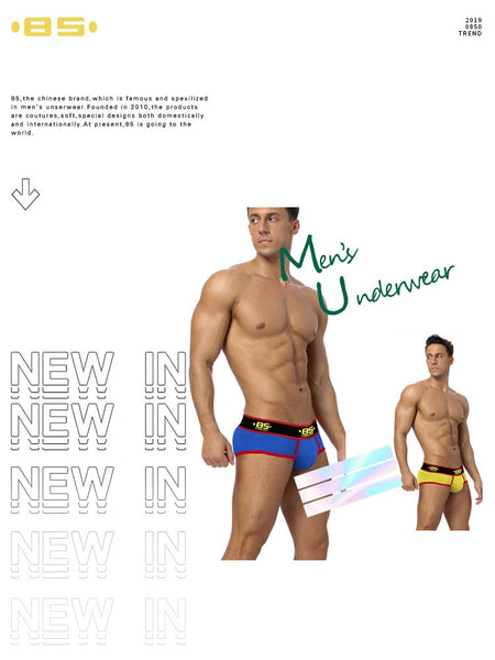 BS 4PC/LOT Men Briefs Sexy Underwear Male Underpants Men's Sexy Breathable Brief Pants Comfortable Men Briefs Underwear Cotton