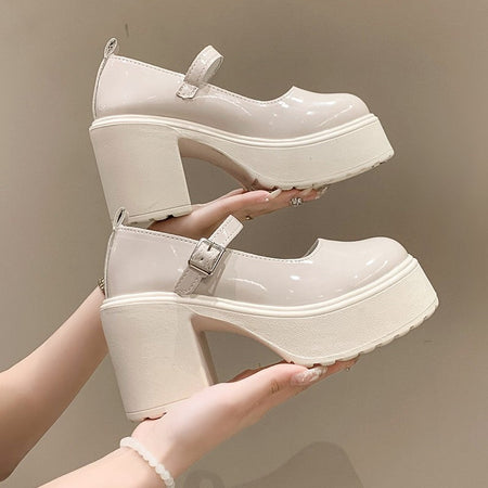 Fashion White Chunky Platform High Heels Women's 2024 New Fall/winter Mary Jane Shoes