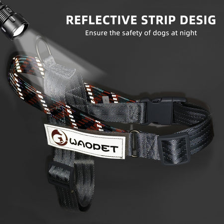 Pet Fashion Dog Harnesses For Medium And Large Walking Dogs Portable New Design Safety Chest Harness Colorful Collar Accessories