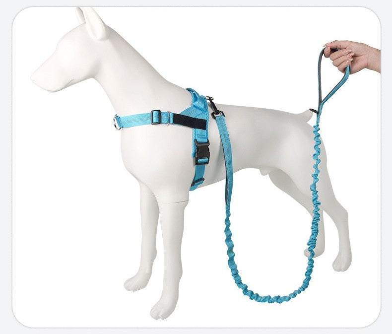 Dog Leads Leashes Durable Dual Traction Rope for Dogs Leash - Boost Safety and Control