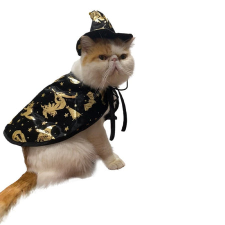 New Halloween Witch Cloak, Cat Wizard Cloak, Pet Cloak, Festival Dress Up, Transformation Dress Up