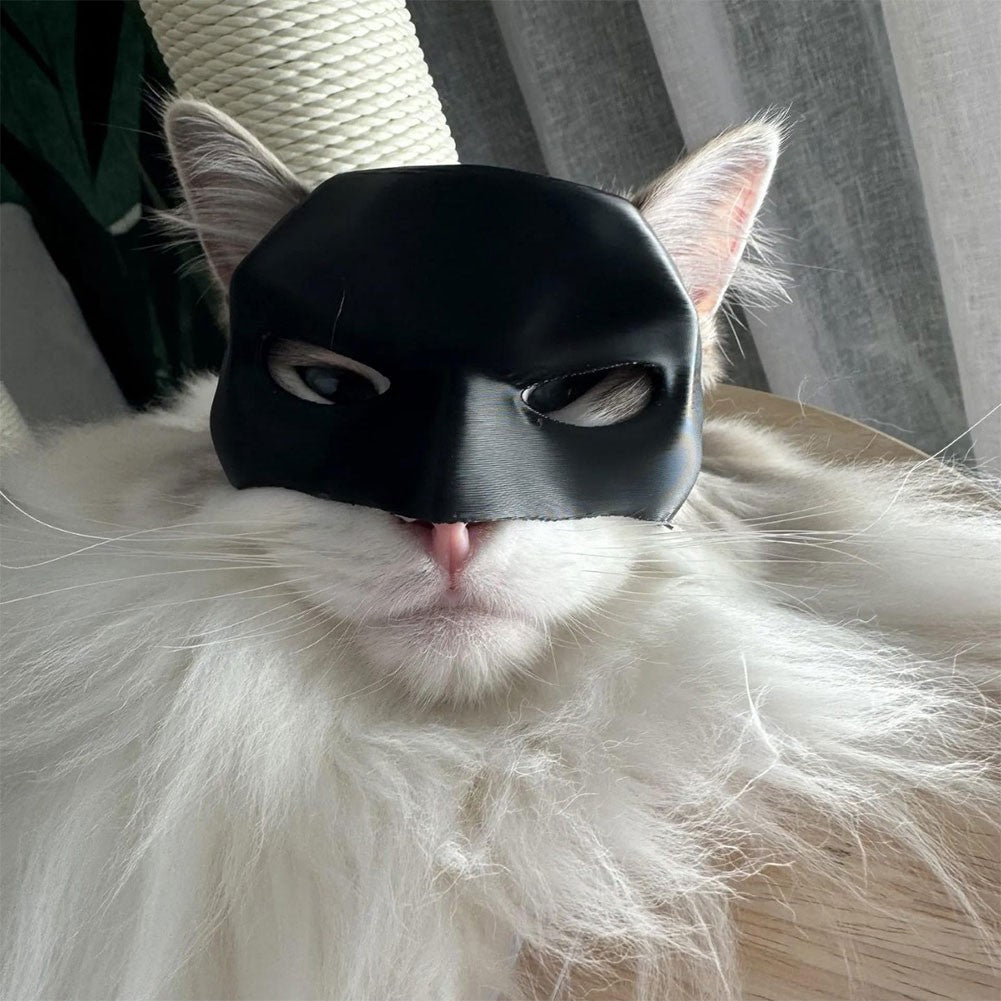 New Black Bat Cat Avenger Mask Cat Mask Avenger Mask Matte Cute Bat Mask Cool Superhero Pet Cat Dog Toy Halloween Atmosphere Pro