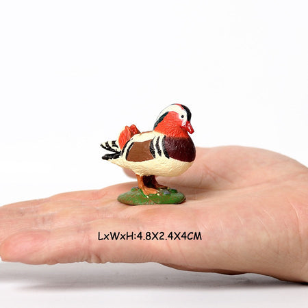 Owl Flamingo Turkey Toucan Seahawk Model Animal Figurines Plastic Bird Toy Action Figure Jungle Adventures Kids Gifts Forest zoo