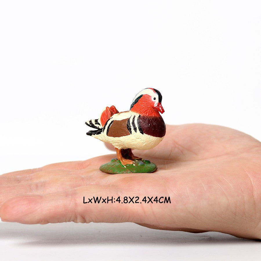 Owl Flamingo Turkey Toucan Seahawk Model Animal Figurines Plastic Bird Toy Action Figure Jungle Adventures Kids Gifts Forest zoo