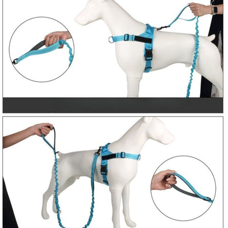 Dog Leads Leashes Durable Dual Traction Rope for Dogs Leash - Boost Safety and Control