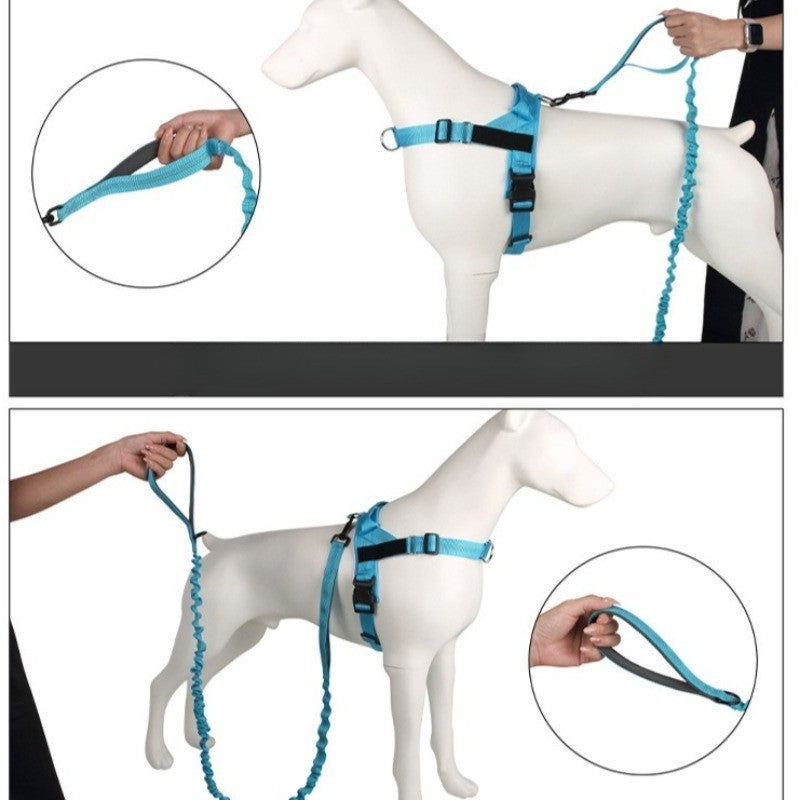 Dog Leads Leashes Durable Dual Traction Rope for Dogs Leash - Boost Safety and Control