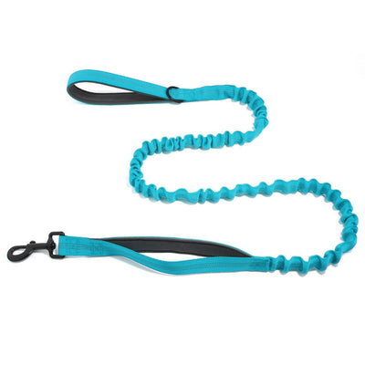 Dog Leads Leashes Durable Dual Traction Rope for Dogs Leash - Boost Safety and Control