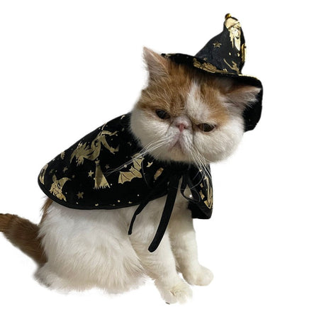 New Halloween Witch Cloak, Cat Wizard Cloak, Pet Cloak, Festival Dress Up, Transformation Dress Up