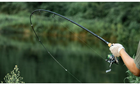LINNHUE Fishing Rod TS Fuji Guide Lure Rod 1.68-2.7m 2/3 Section Carbon Fiber Light Spinning Rod Baitcasting Rod Gift Rod Cover