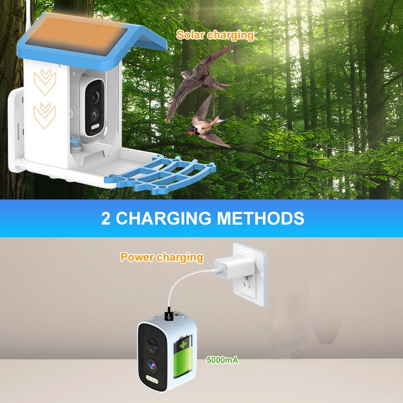 Smart Solar Bird Feeder with 4MP Camera AI Bird Identification Night Vision Weatherproof Design for Outdoor Use