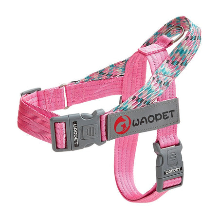 Pet Fashion Dog Harnesses For Medium And Large Walking Dogs Portable New Design Safety Chest Harness Colorful Collar Accessories