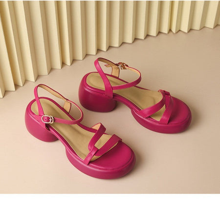 Designer New Women's Sandals 2025 New Fashion High Heels Summer Outdoor Beach Shoes Mary Jane Women Open Toed Thick Heel Sandals