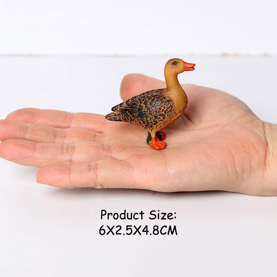 Owl Flamingo Turkey Toucan Seahawk Model Animal Figurines Plastic Bird Toy Action Figure Jungle Adventures Kids Gifts Forest zoo