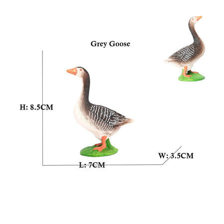 Owl Flamingo Turkey Toucan Seahawk Model Animal Figurines Plastic Bird Toy Action Figure Jungle Adventures Kids Gifts Forest zoo