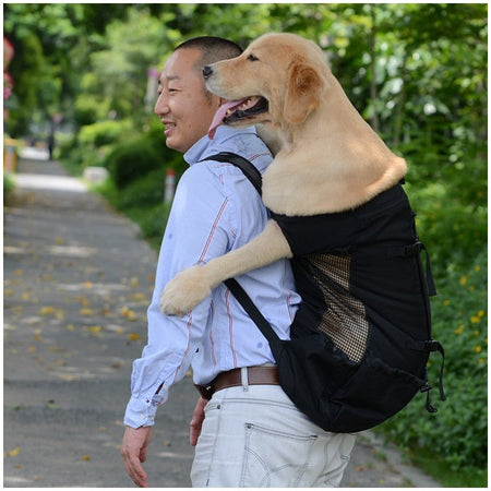 Hiking Pet Dog Carrier Travel Backpack Outdoor Ventilation Breathable Bicycle Motorcycle Outdoor Sport Mesh Bag Drop Shipping