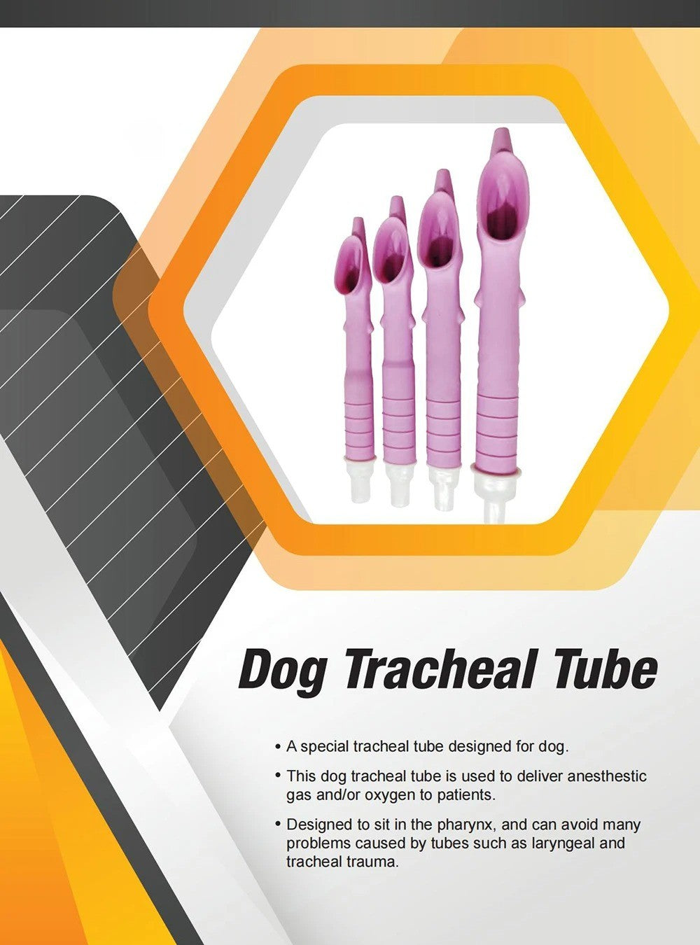 Canine Tracheal Intubation Blind Insertion of Anesthesia Gas Or Oxygen For Dogs Non-invasive Specialized Dogs Pet Medical Room