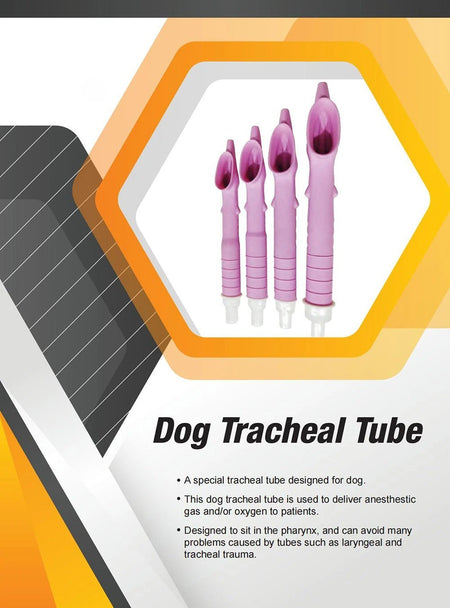 Canine Tracheal Intubation Blind Insertion of Anesthesia Gas Or Oxygen For Dogs Non-invasive Specialized Dogs Pet Medical Room