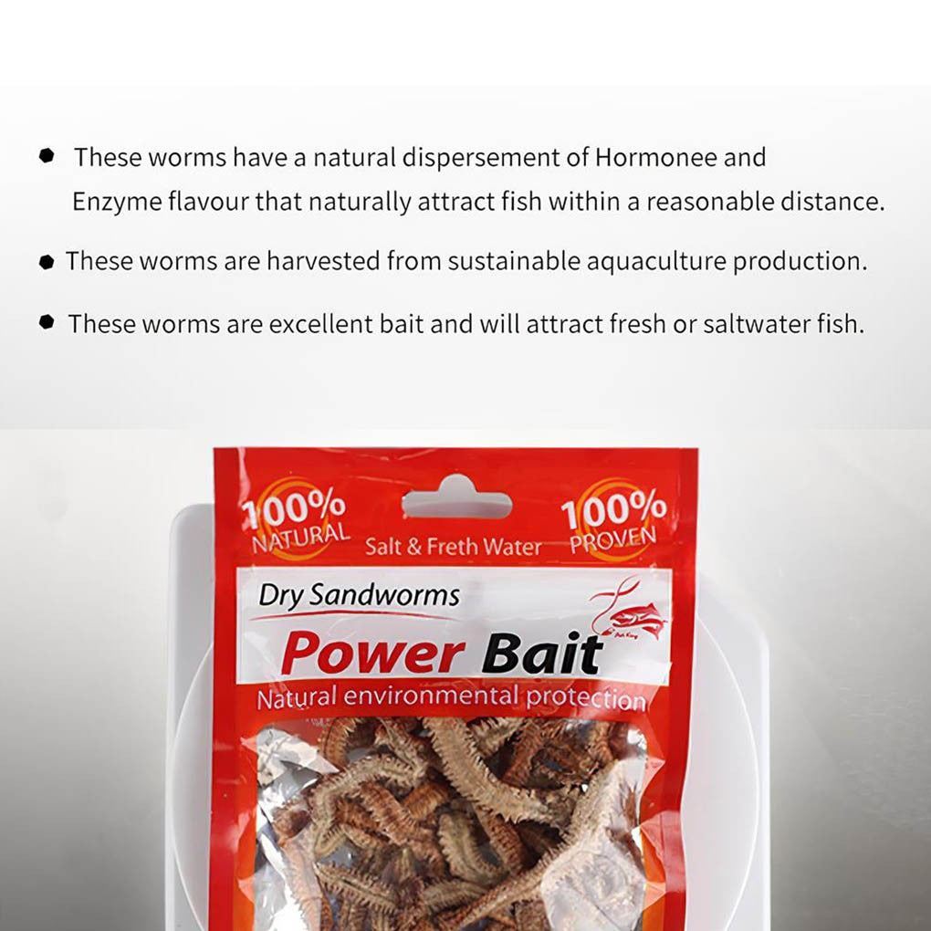 1Bag Dry Sandworms Fishing Lure Eco-friendly Fish Bait Portable Seductive Food For Aquatic Animals Enticement Usage 10g