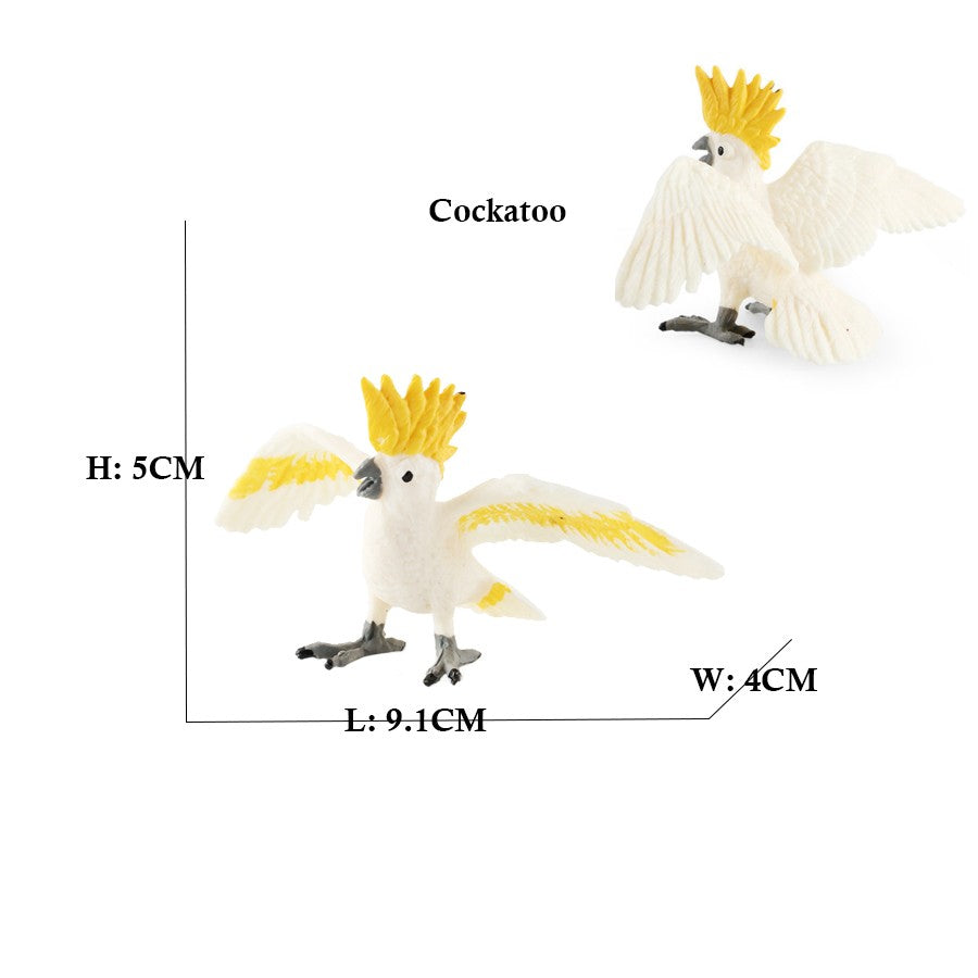 Owl Flamingo Turkey Toucan Seahawk Model Animal Figurines Plastic Bird Toy Action Figure Jungle Adventures Kids Gifts Forest zoo