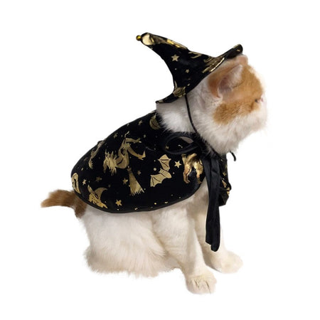 New Halloween Witch Cloak, Cat Wizard Cloak, Pet Cloak, Festival Dress Up, Transformation Dress Up